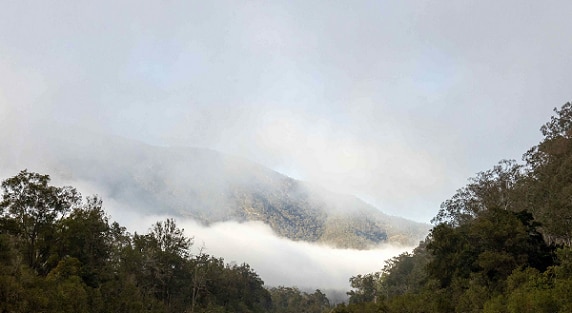 green, misty hills against a grey sky